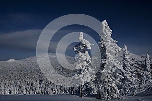 sunny winter morning in the mountains of sheregesh on the ski track