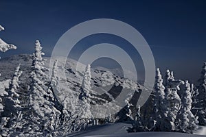 sunny winter morning in the mountains of sheregesh on the ski track