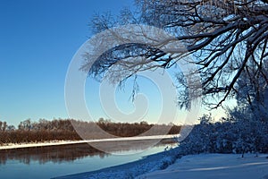 Sunny Winter Photo Landscape with Forest