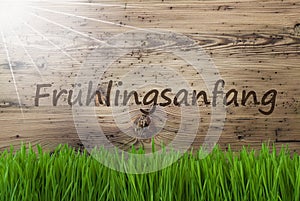 Sunny Wooden Background, Gras, Fruehlingsanfang Means Beginning Of Spring