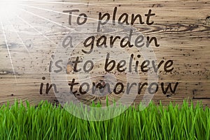 Sunny Wooden Background, Gras, Quote Plant Garden Believe Tomorrow