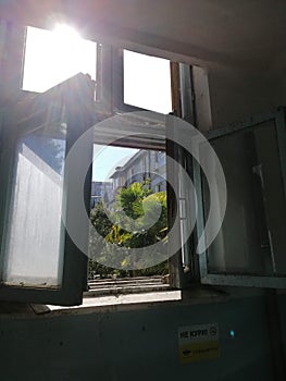 Sunny Yalta. Sunny. Window. Floral