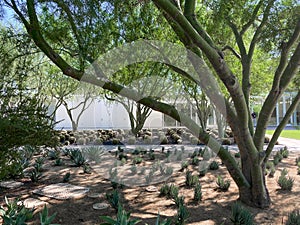 Sunnylands center and garden in Rancho Mirage.