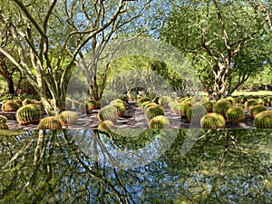 Sunnylands center and garden in Rancho Mirage.