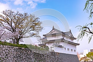 Sunpu Castle Tatsumi-Yagura during Cherry blossoms