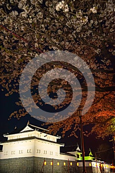 Sunpu Castle Tatsumi-Yagura during Cherry blossoms