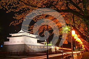 Sunpu Castle Tatsumi-Yagura during Cherry blossoms