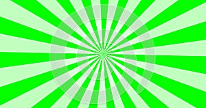 Sunray Background in Green and White Rays Looping