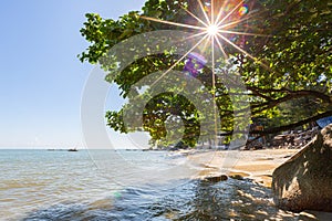 Sunray by the beach