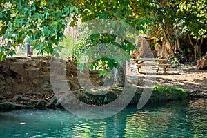 Sunray makes its way through the leaves to the water at Gorgo CatalÃÂ¡n photo