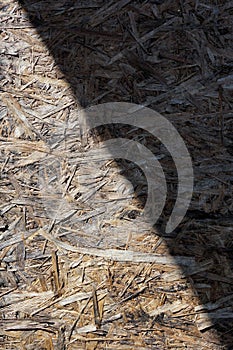 Sunray on wooden texture