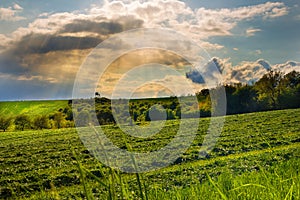 Sunrays and field with cut grass