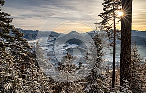 Sunrays from sun over snowy conifer trees in forest. View from hill Cebrat in Great fatra mountains on town Ruzomberok, Slovakia