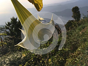 Sunrise above Himalayan Mountains - View from Sarangkot, Nepal.