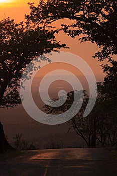 Sunrise in the african bush safari game drive