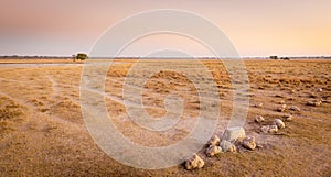 Sunrise on African Plains