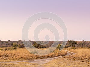 Sunrise on African Plains