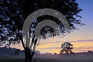 Sunrise Al Sabo Meadow