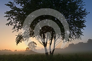 Sunrise Al Sabo Meadow