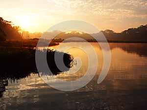 Sunrise in the Amazon rainforest