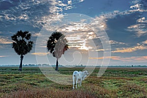 Sunrise at Anlung Pring Protected Landscape