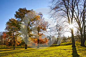 Sunrise with autumn leaf colour and lens flare in the public park