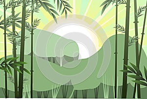 Sunrise in bamboo forest. Tropical reed beds. Jungle and rainforest of southern latitudes. Cartoon fun style. Flat