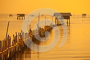 Sunrise , Bang Taboon