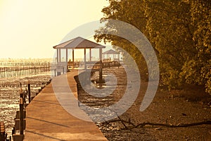 Sunrise , Bang Taboon