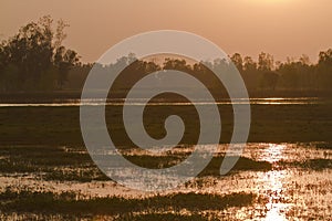 Sunrise on Bardia jungle, Nepal