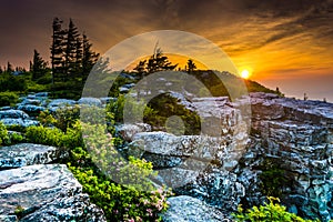 Sunrise at Bear Rocks Preserve, in Dolly Sods Wilderness, Monon