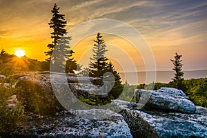 Sunrise at Bear Rocks Preserve, in Dolly Sods Wilderness, Monon