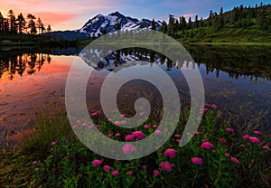 Sunrise behind Mt. Shuksan in Washington State with flowers and Picture Lake