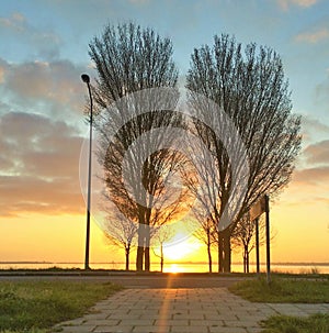 Sunrise behind the Zeewolde