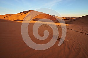 Sunrise on a big sand dune in Sahara desert