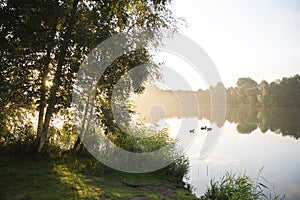 Sunrise and birchtrees at lake