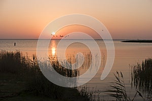 Sunrise at the Bodden on Fischland photo