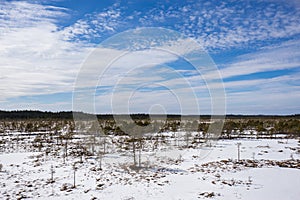 Sunrise in the bog. Icy cold marsh. Frosty ground. Swamp lake and nature.