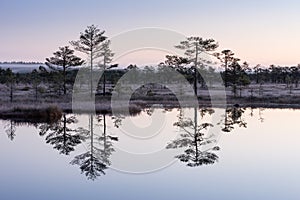 Sunrise in the bog. Icy cold marsh. Frosty ground. Swamp lake and nature. Freeze temperatures in moor. Muskeg natural environment.