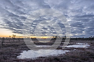 Sunrise in the bog. Icy cold marsh. Frosty ground. Swamp lake and nature. Freeze temperatures in moor. Muskeg natural environment.