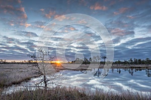 Sunrise in the bog. Icy cold marsh. Frosty ground. Swamp lake and nature. Freeze temperatures in moor. Muskeg natural environment.