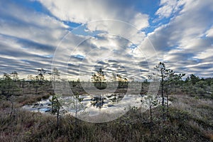 Sunrise in the bog. Icy cold marsh. Frosty ground. Swamp lake and nature. Freeze temperatures in moor. Muskeg natural environment.