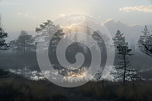 Sunrise in the bog landscape. Misty marsh, lakes nature environment background.