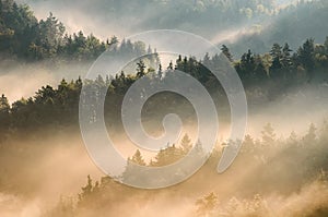 Sunrise at Bohemian Switzerland, Czech republic