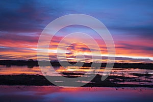 Sunrise at Bosque del Apache, New Mexico photo