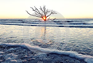 Sunrise at Botany Bay beach