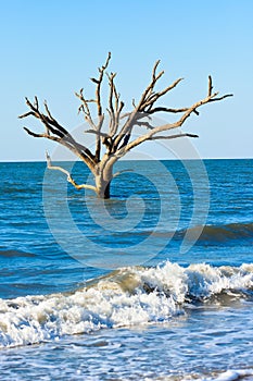 Sunrise at Botany Bay Plantation, Edisto Island, South Carolina