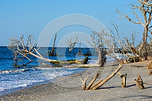 Sunrise at Botany Bay Plantation, Edisto Island, South Carolina