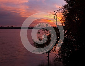 Sunrise Branch and Moving Water