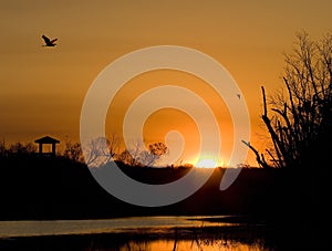 Sunrise at Brazos Bend